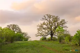 Tbd 120 Acres Old Seguin Luling Rd, Seguin, TX 78155 - Photo 9