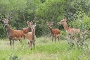 Tbd 120 Acres Old Seguin Luling Rd, Seguin, TX 78155 - Photo 21