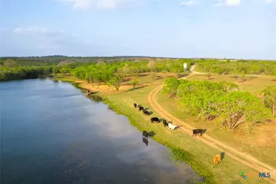 Tbd 120 Acres Old Seguin Luling Road, Seguin, TX 78155 - Photo 31