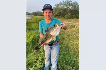 Tbd 120 Acres Old Seguin Luling Road, Seguin, TX 78155 - Photo 23