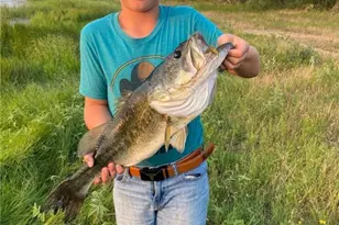 Tbd 120 Acres Old Seguin Luling Rd, Seguin, TX 78155 - Photo 23