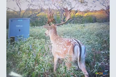 Tbd 120 Acres Old Seguin Luling Road, Seguin, TX 78155 - Photo 17