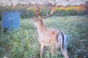 Tbd 120 Acres Old Seguin Luling Rd, Seguin, TX 78155 - Photo 17