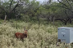 Tbd 120 Acres Old Seguin Luling Rd, Seguin, TX 78155 - Photo 27