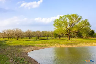 Tbd 120 Acres Old Seguin Luling Road, Seguin, TX 78155 - Photo 11