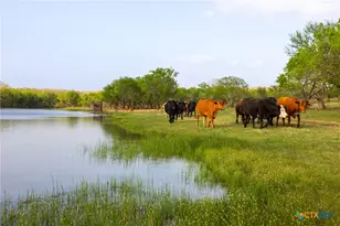 Tbd 120 Acres Old Seguin Luling Rd, Seguin, TX 78155 - Photo 3