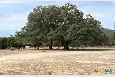 12832 Fm 2484, Salado, TX 76571 - Photo 3