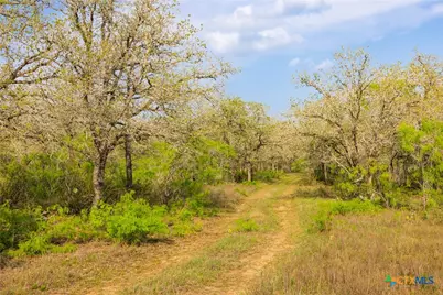 Tbd 67 Acres Old Seguin Luling Rd, Seguin, TX 78155 - Photo 9