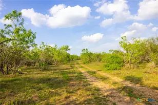 Tbd 67 Acres Old Seguin Luling Rd, Seguin, TX 78155 - Photo 15
