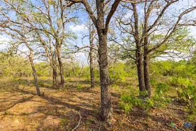 Tbd 67 Acres Old Seguin Luling Rd, Seguin, TX 78155 - Photo 23