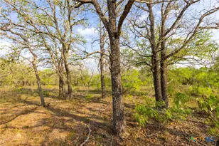 Tbd 67 Acres Old Seguin Luling Rd, Seguin, TX 78155 - Photo 23