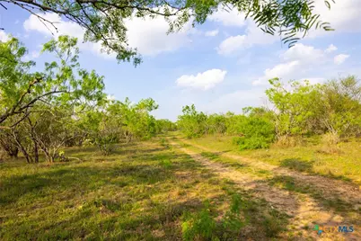 Tbd 67 Acres Old Seguin Luling Rd, Seguin, TX 78155 - Photo 5