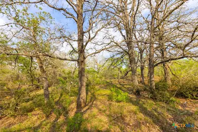 Tbd 67 Acres Old Seguin Luling Rd, Seguin, TX 78155 - Photo 19