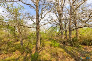 Tbd 67 Acres Old Seguin Luling Rd, Seguin, TX 78155 - Photo 19