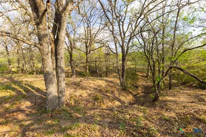 Tbd 67 Acres Old Seguin Luling Rd, Seguin, TX 78155 - Photo 25