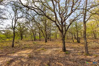 Tbd 67 Acres Old Seguin Luling Rd, Seguin, TX 78155 - Photo 21