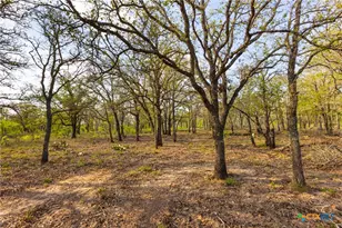 Tbd 67 Acres Old Seguin Luling Rd, Seguin, TX 78155 - Photo 21