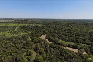 2224 Levee Rd, Bloomington, TX 77951 - Photo 37