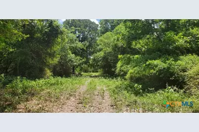 2224 Levee Road, Bloomington, TX 77951 - Photo 19