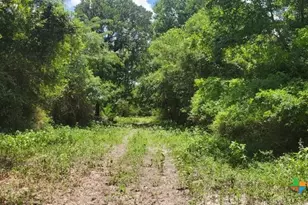 2224 Levee Rd, Bloomington, TX 77951 - Photo 19