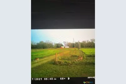 2224 Levee Road, Bloomington, TX 77951 - Photo 43