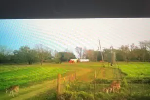 2224 Levee Rd, Bloomington, TX 77951 - Photo 43