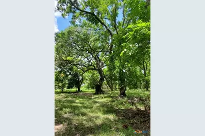 2224 Levee Road, Bloomington, TX 77951 - Photo 13