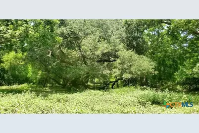 2224 Levee Road, Bloomington, TX 77951 - Photo 17