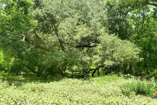 2224 Levee Rd, Bloomington, TX 77951 - Photo 17