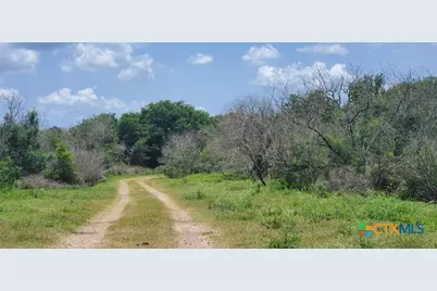 2224 Levee Road, Bloomington, TX 77951 - Photo 25