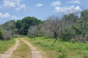 2224 Levee Rd, Bloomington, TX 77951 - Photo 25