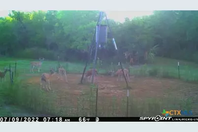 2224 Levee Road, Bloomington, TX 77951 - Photo 47