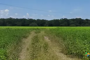 2224 Levee Rd, Bloomington, TX 77951 - Photo 21