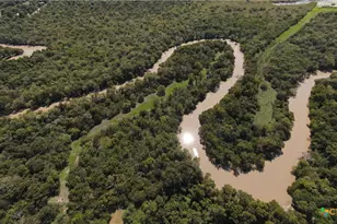 2224 Levee Rd, Bloomington, TX 77951 - Photo 33