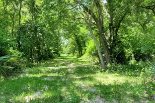 2224 Levee Rd, Bloomington, TX 77951 - Photo 15