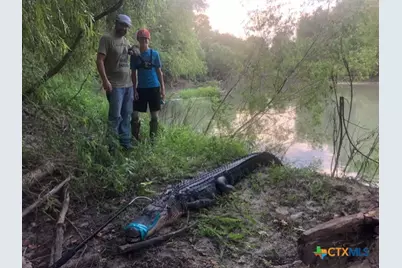 2224 Levee Road, Bloomington, TX 77951 - Photo 45