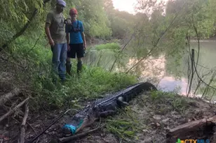 2224 Levee Rd, Bloomington, TX 77951 - Photo 45