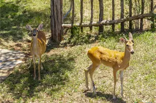 340 Sedro Trail, Georgetown, TX 78633 - Photo 13