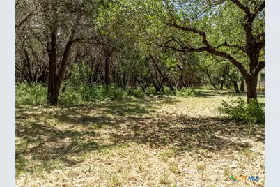 340 Sedro Trail, Georgetown, TX 78633 - Photo 17