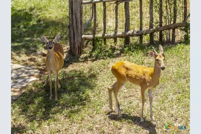 340 Sedro Trail, Georgetown, TX 78633 - Photo 11