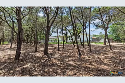 2382 Geneseo Oaks, New Braunfels, TX 78132 - Photo 37