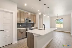 2539 Tin Barn Bluff, Belton, TX 76513 - Photo 7