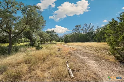 1732 Herbelin Road, New Braunfels, TX 78132 - Photo 3