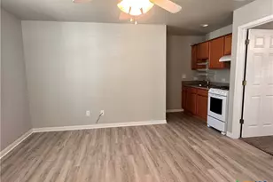 318 Trestle Tree, San Marcos, TX 78666 - Photo 3