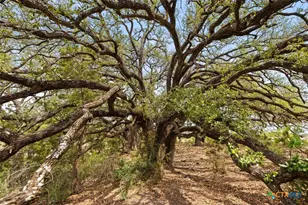 Tbd County Road 207, Burnet, TX 78611 - Photo 3