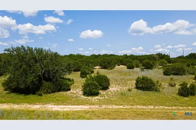 158 Hilandale Drive, Briggs, TX 76539 - Photo 7