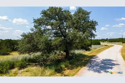 158 Hilandale Drive, Briggs, TX 76539 - Photo 9