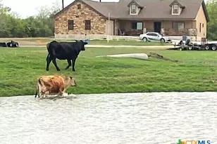 6197 Pfeil Rd, Schertz, TX 78154 - Photo 3