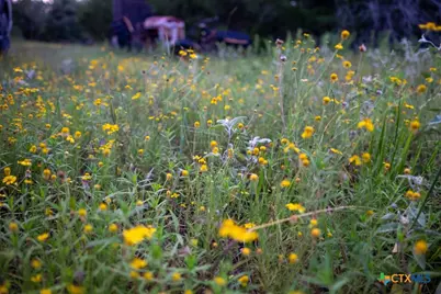 1698 County Road 327, Caldwell, TX 77836 - Photo 35