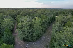 1698 Co Rd 327, Caldwell, TX 77836 - Photo 7